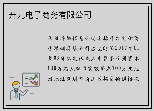 开元电子商务有限公司